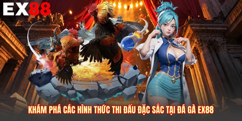 Khám phá các hình thức thi đấu đặc sắc tại đá gà EX88