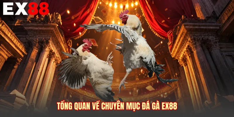 Tổng quan về chuyên mục đá gà EX88
